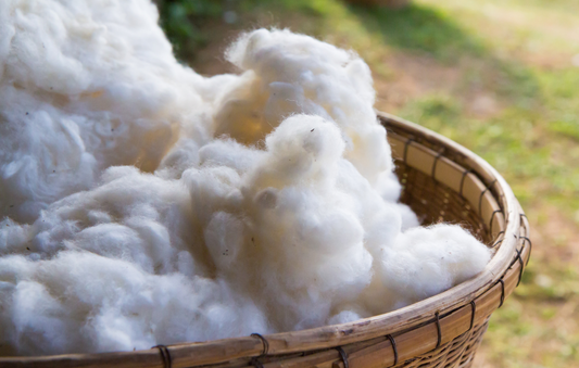Les bienfaits des vêtements en coton biologique pour bébés et enfants